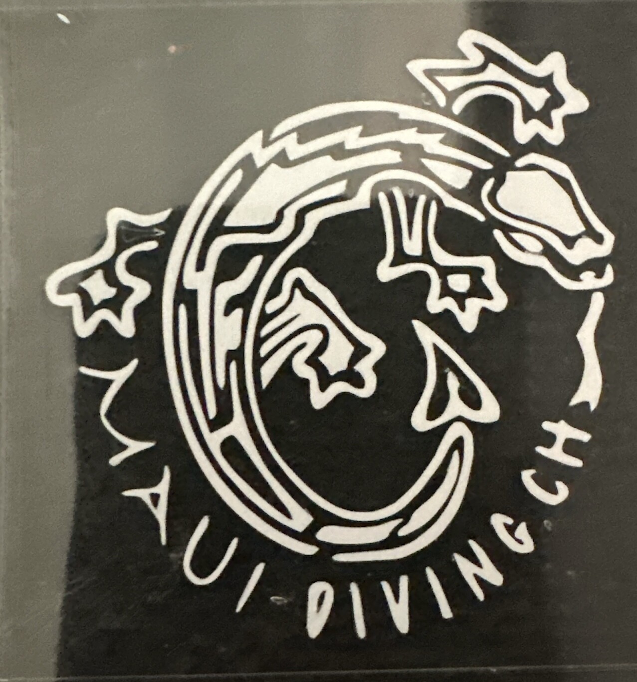 Maui-diving customize logo rond