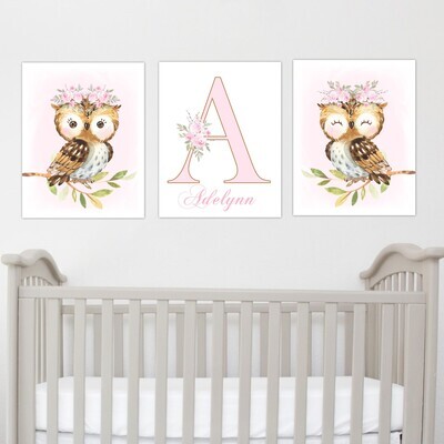 Personalized Pink Owl Baby Girl Nursery Wall Art Canvas Wall Pink Floral Set of 3 Unframed Prints