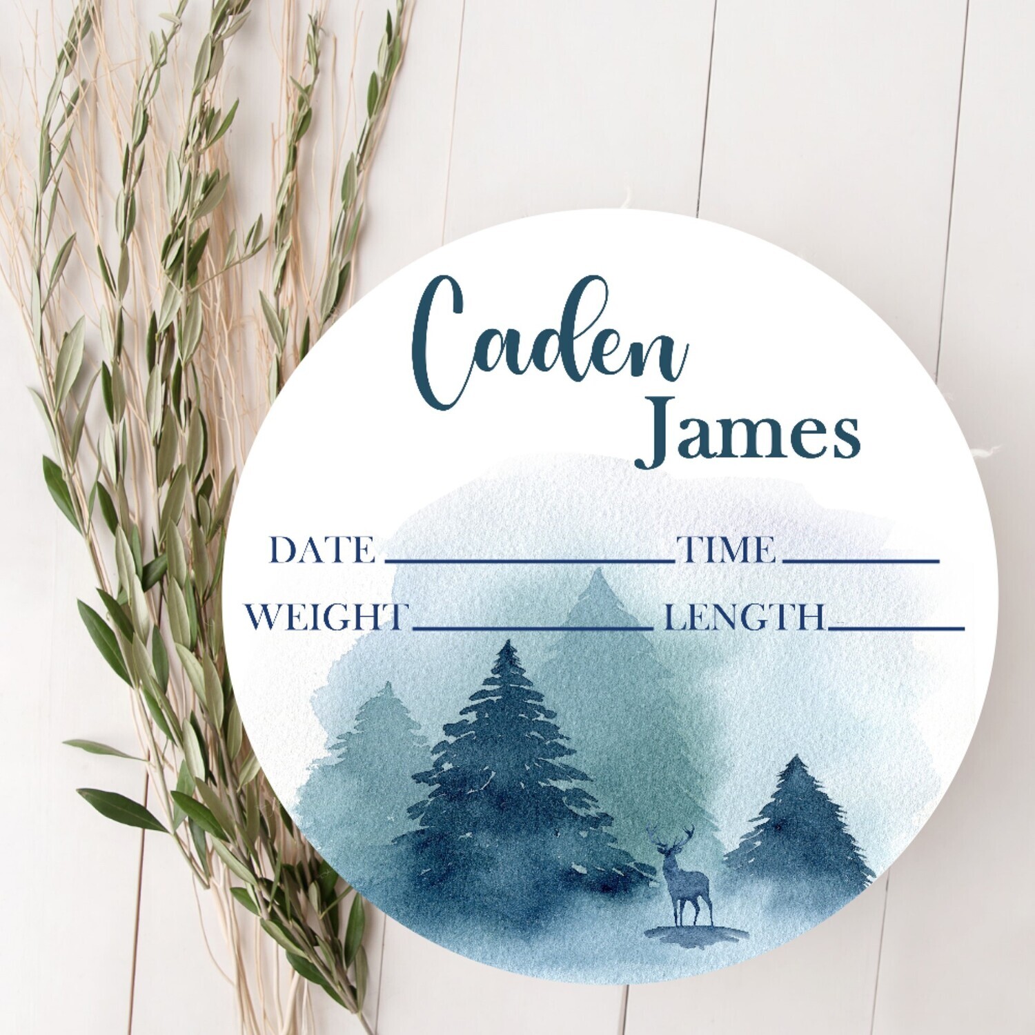 Baby Boy Birth Stat Name Sign, Deer Forest Baby Sign, Fresh 48 Custom Baby Name Sign, Birth Announcement Sign, Custom Baby Nursery Decor Baby Gift