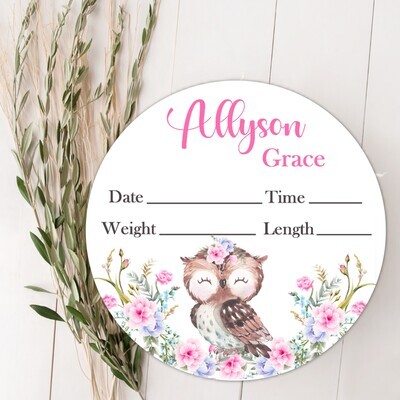 Pink Floral Owl Baby Girl Birth Stat Name Sign, Personalized Baby Plaque, Fresh 48 Custom Baby Name Sign, Birth Announcement Sign, Custom Baby Nursery Decor Baby Gift