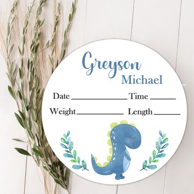 Dinosaur Baby Boy Birth Stat Name Sign, Personalized Baby Plaque, Fresh 48 Custom Baby Name Sign, Birth Announcement Sign, Custom Baby Nursery Decor Baby Gift