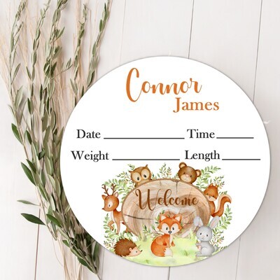 Woodland Animals Baby Boy Birth Stat Name Sign, Personalized Baby Plaque, Fresh 48 Custom Baby Name Sign, Birth Announcement Sign, Custom Baby Nursery Decor Baby Gift