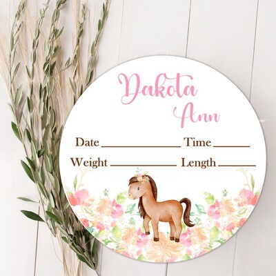 Floral Horse Baby Girl Birth Stat Name Sign, Personalized Baby Plaque, Fresh 48 Custom Baby Name Sign, Birth Announcement Sign, Custom Baby Nursery Decor Baby Gift