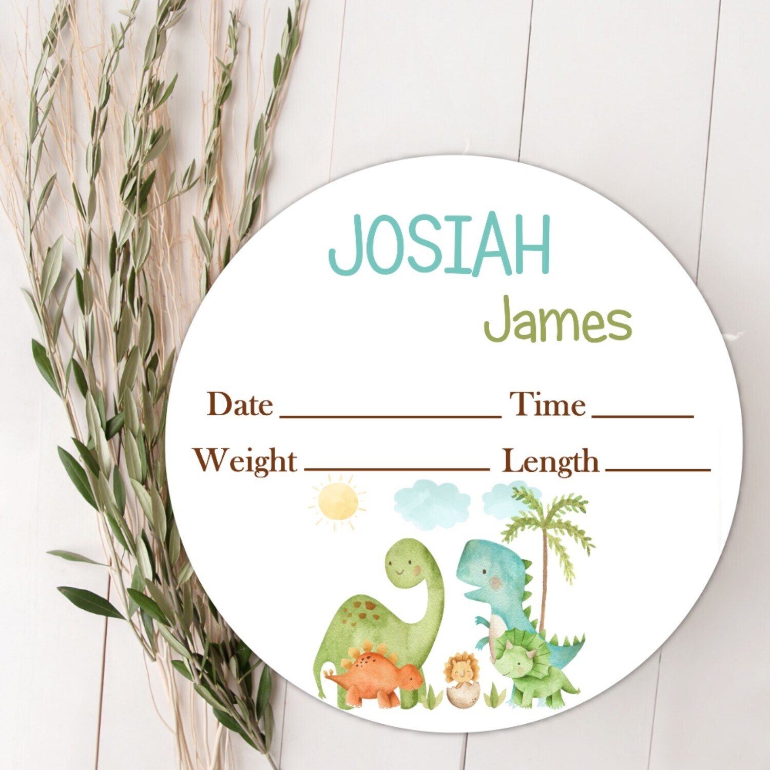 Baby Boy Birth Stat Sign, Dinosaur Personalized Baby Plaque, Fresh 48 Custom Baby Name Sign, Birth Announcement Sign, Custom Baby Nursery Decor Baby Gift