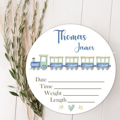 Train Baby Boy Birth Stat Name Sign, Personalized Baby Plaque, Fresh 48 Custom Baby Name Sign, Birth Announcement Sign, Custom Baby Nursery Decor Baby Gift