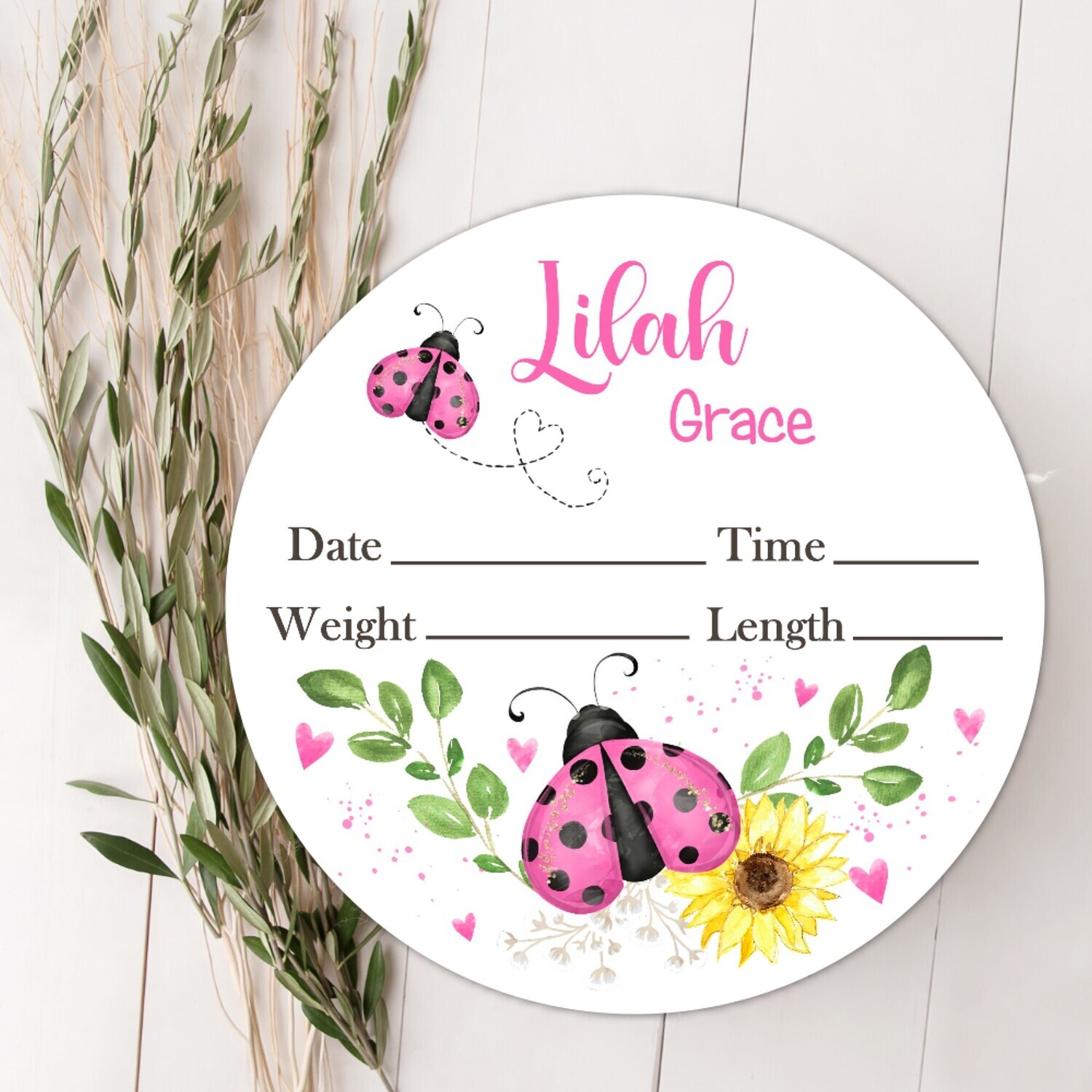 Pink Ladybug Baby Girl Birth Stat Sign, Fresh 48 Custom Baby Name Sign, Birth Announcement Sign Photo Op, Custom Baby Nursery Decor Baby Gift Photo Prop