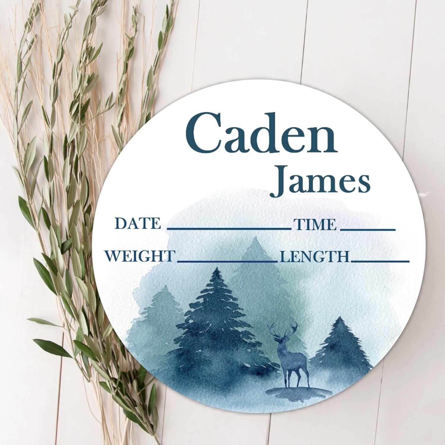 Baby Boy Birth Stat Name Sign, Forest Scene Baby Sign, Fresh 48 Custom Baby Name Sign, Birth Announcement Sign, Custom Baby Nursery Decor Baby Gift