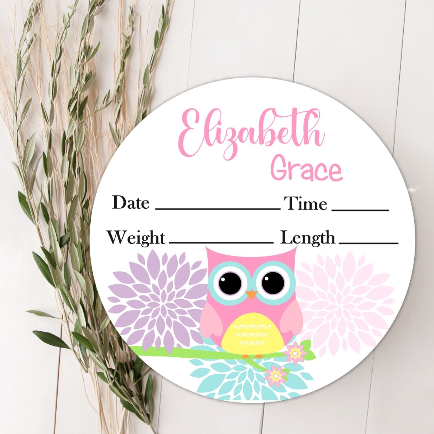 Floral Owl Baby Girl Birth Stat Name Sign, Personalized Baby Plaque, Fresh 48 Custom Baby Name Sign, Birth Announcement Sign, Custom Baby Nursery Decor Baby Gift