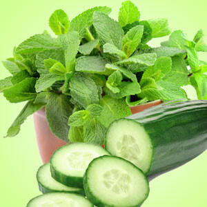 Cucumber Mint -