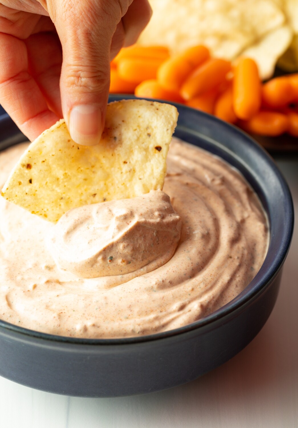 TACO DIP and SEASONING DIP MIX