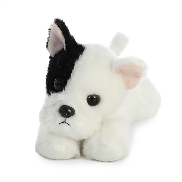 Frank the French Bulldog
