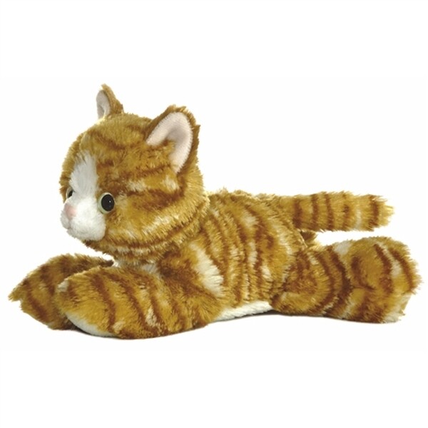 Tabs the Tabby Cat
