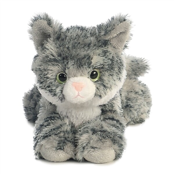 Gabby the Tabby Cat