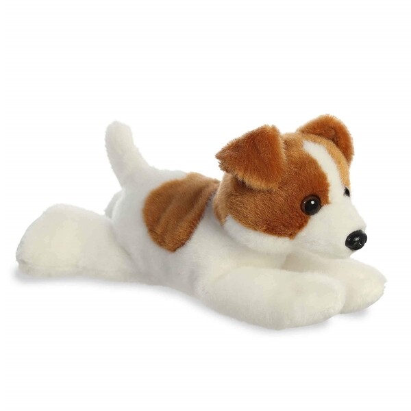 Jackie the Jack Rusell Terrier