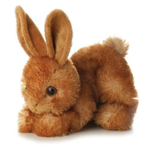 Rusty the Rabbit