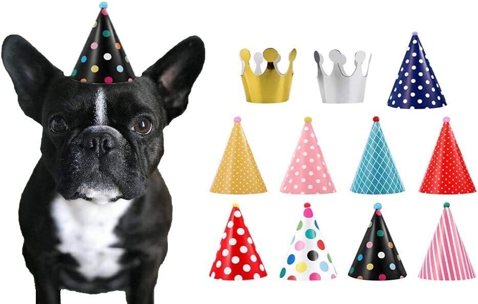CRITTER COSTUME HATS - PARTY HAT