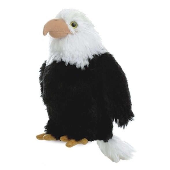 LIBERTY the American Eagle