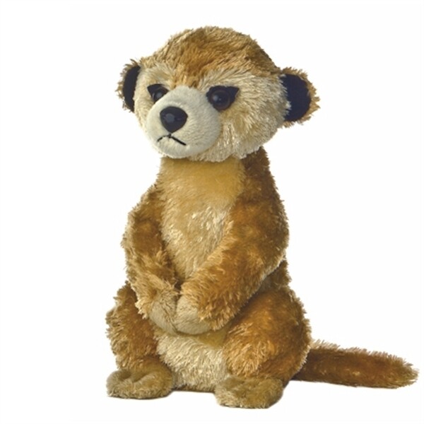Mika the Meercat
