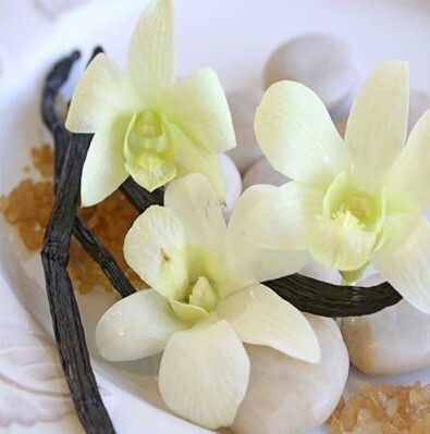 VANILLA LAVENDER