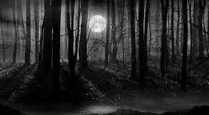 HAUNTED WOODS