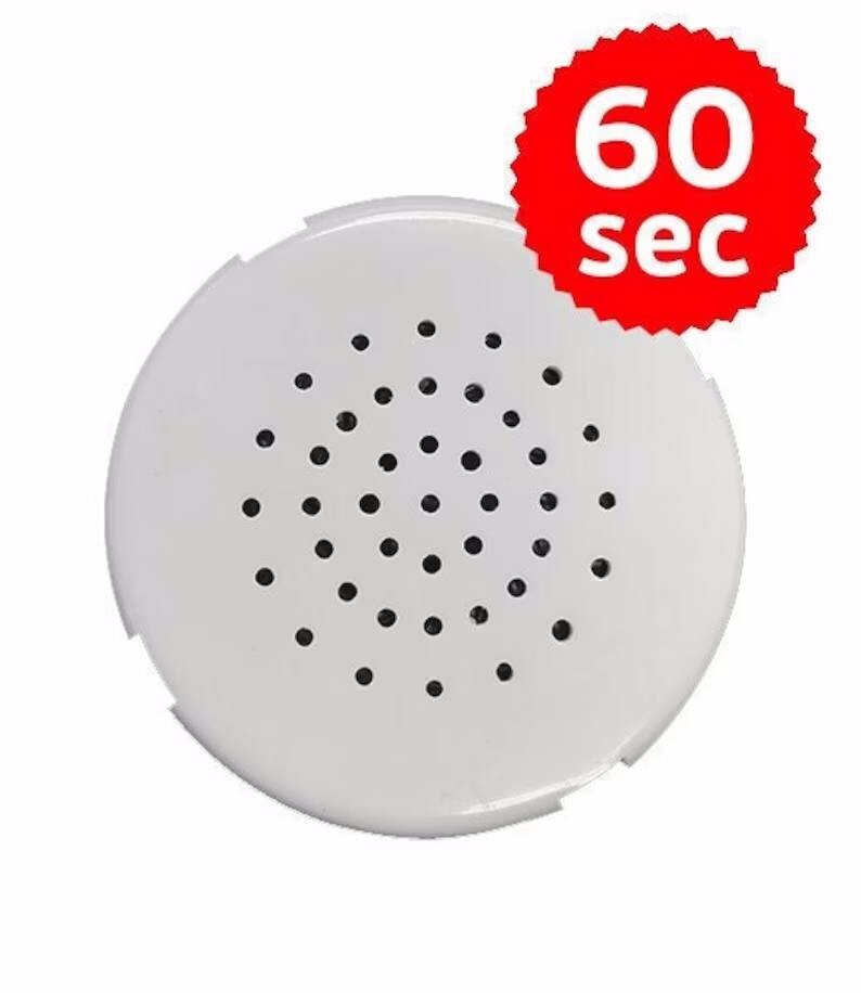REPLACEMENT 60 SECOND VOICE RECORDER FOR CUDDLE BUDDIES