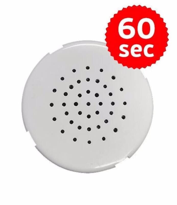 REPLACEMENT 60 SECOND VOICE RECORDER FOR CUDDLE BUDDIES