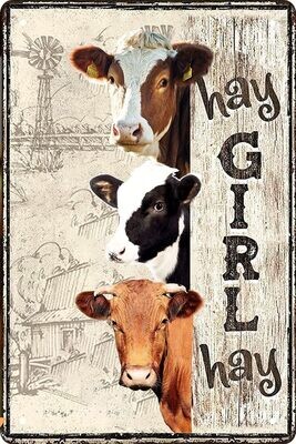 Hay Girl Hay Metal Sign - 8x12 in