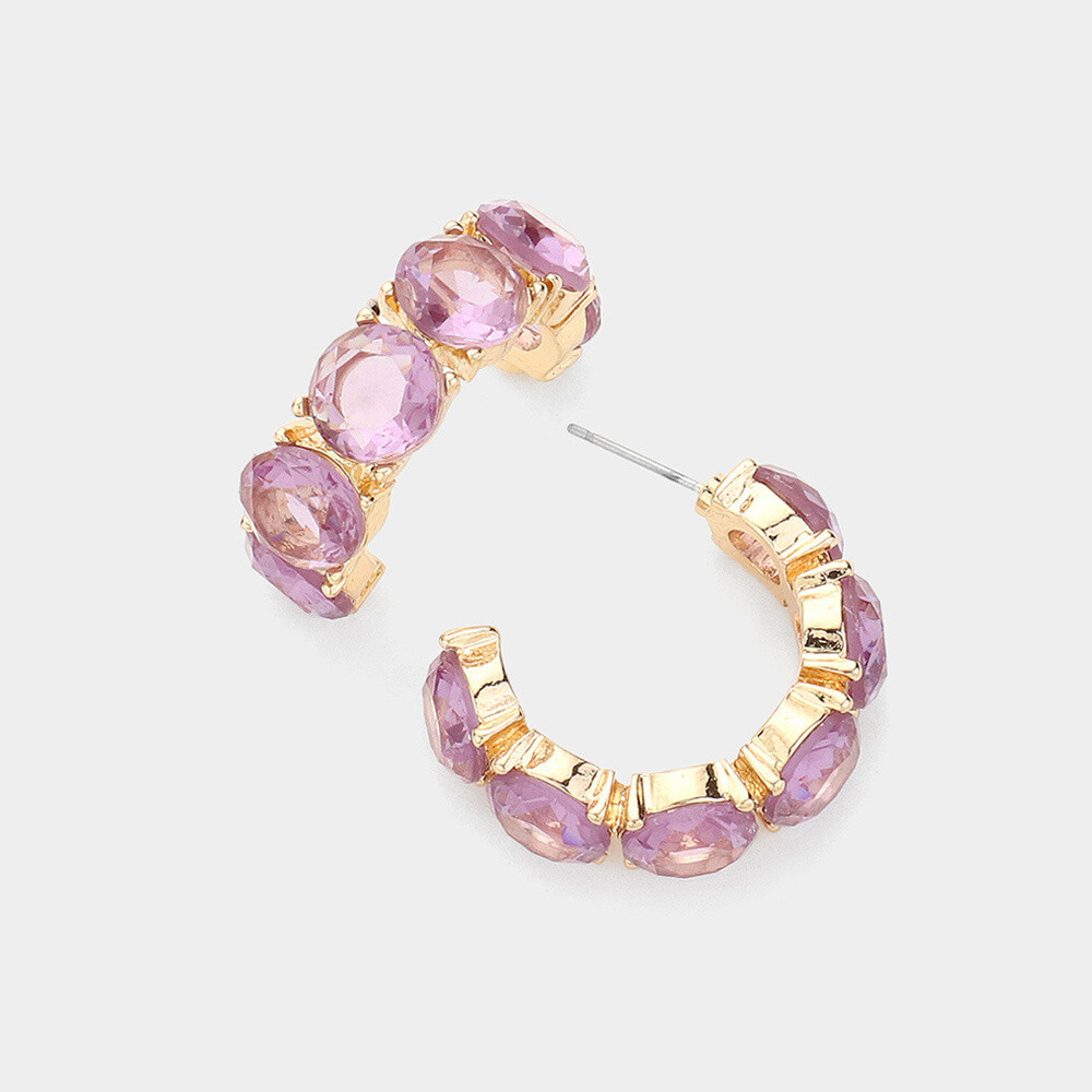 Round Stone Embellished Hoop Earrings
