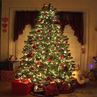MASON JAR CANDLE 12 Ounces - FRESH CUT CHRISTMAS TREE