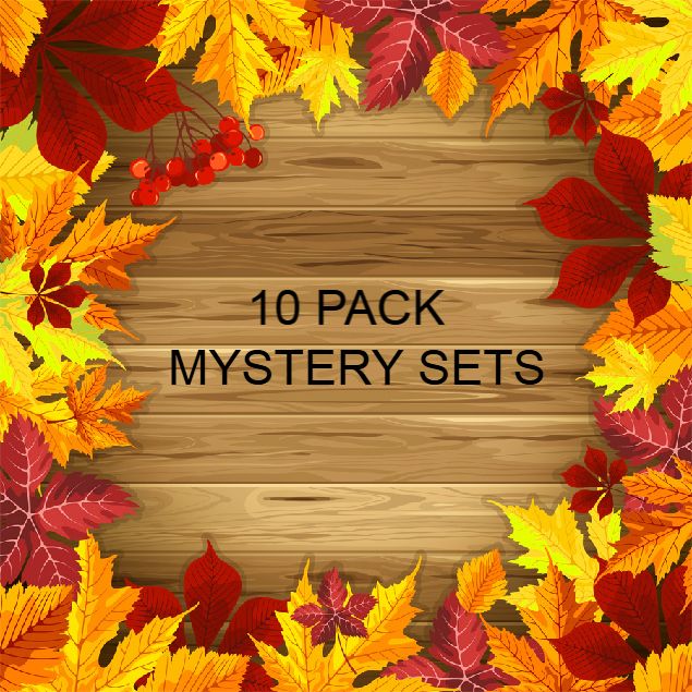FALL NAIL WRAPS - 10 PACK MYSTERY SET