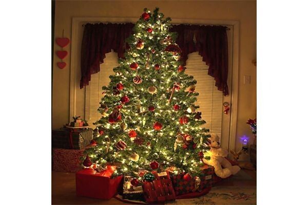FRESH CUT CHRISTMAS TREE CANDLE