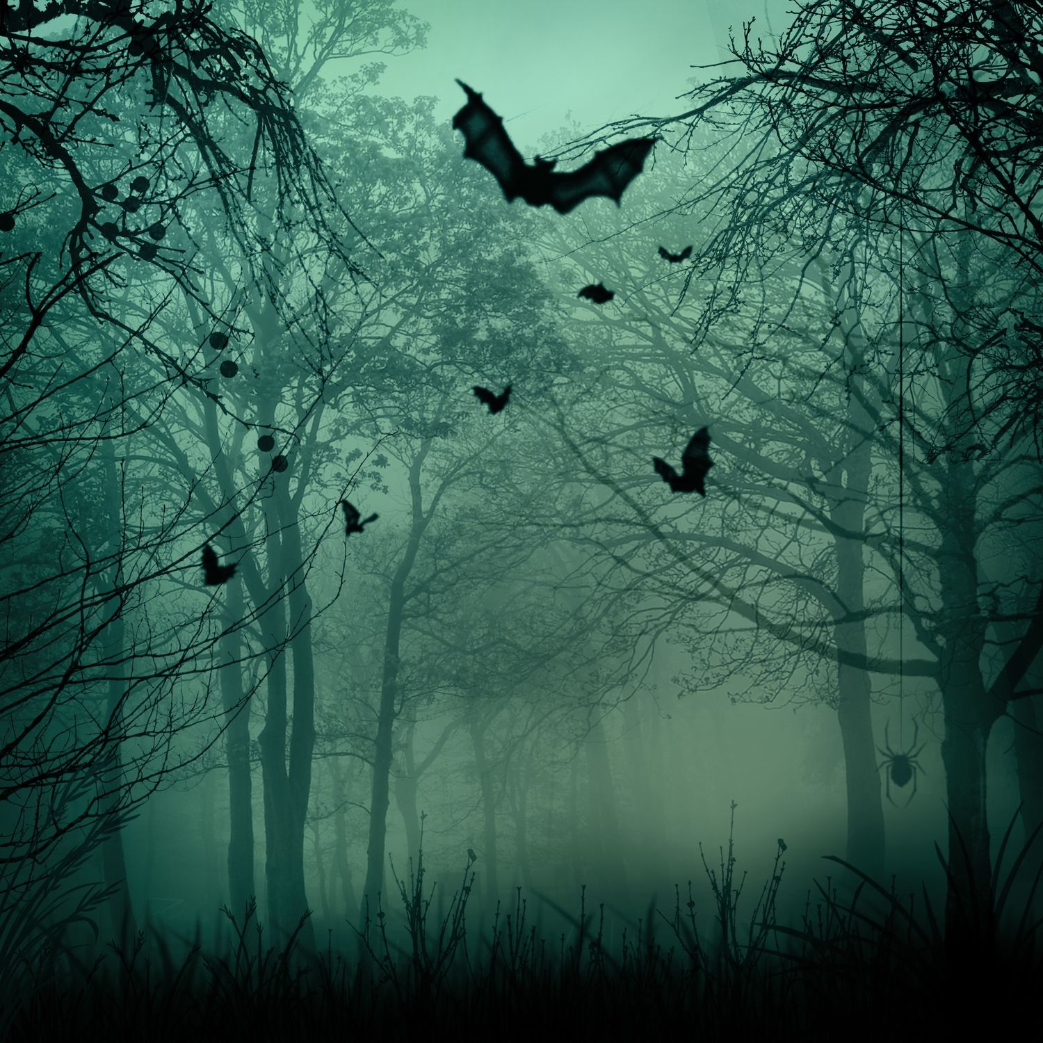 HAUNTED WOODS