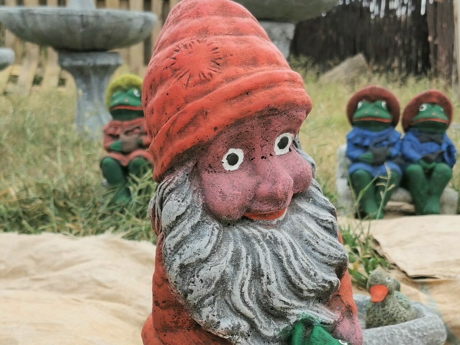 Mr Gnome