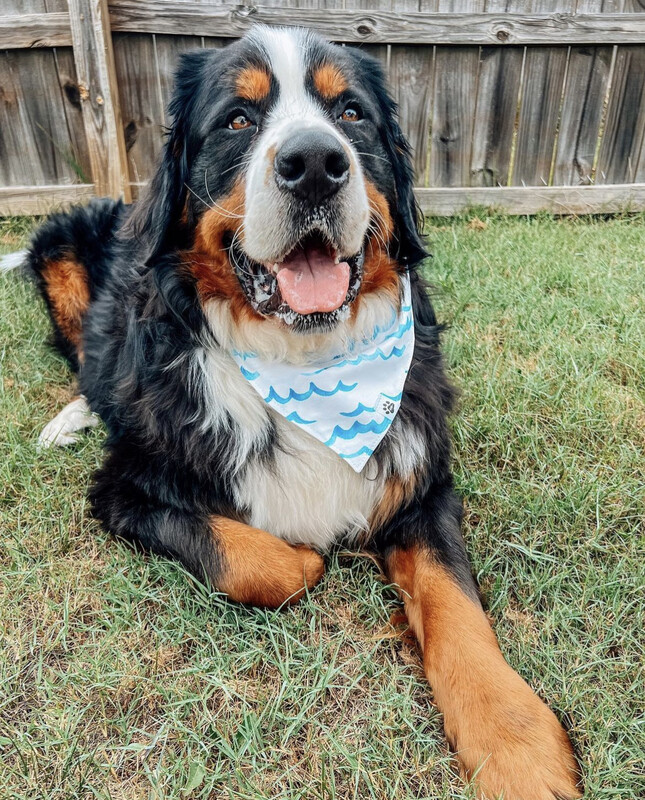 Ocean Waves - Bandana 