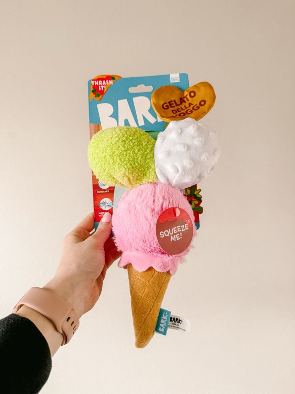 BARK doggo Ice Cream Toy