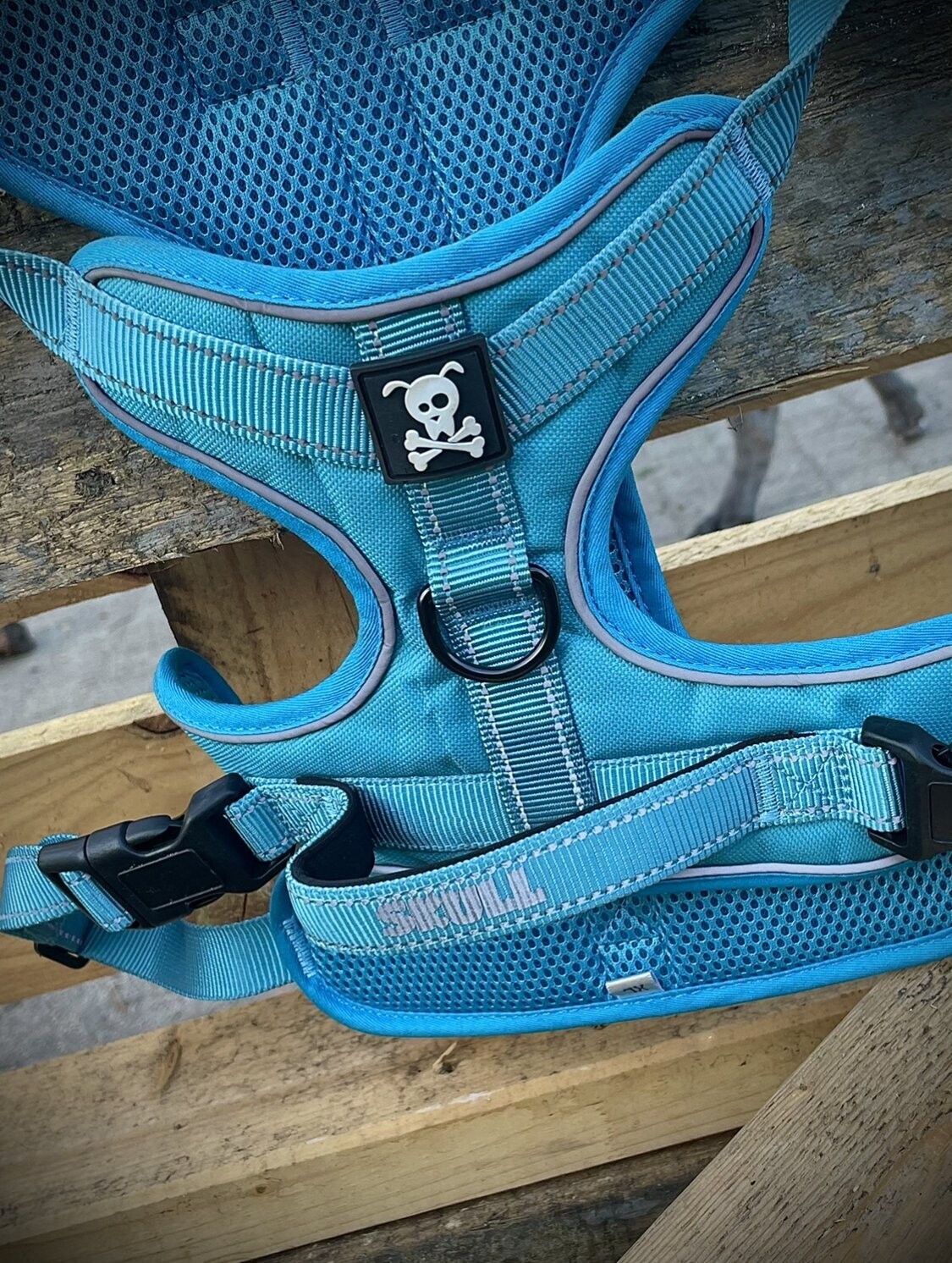 XS