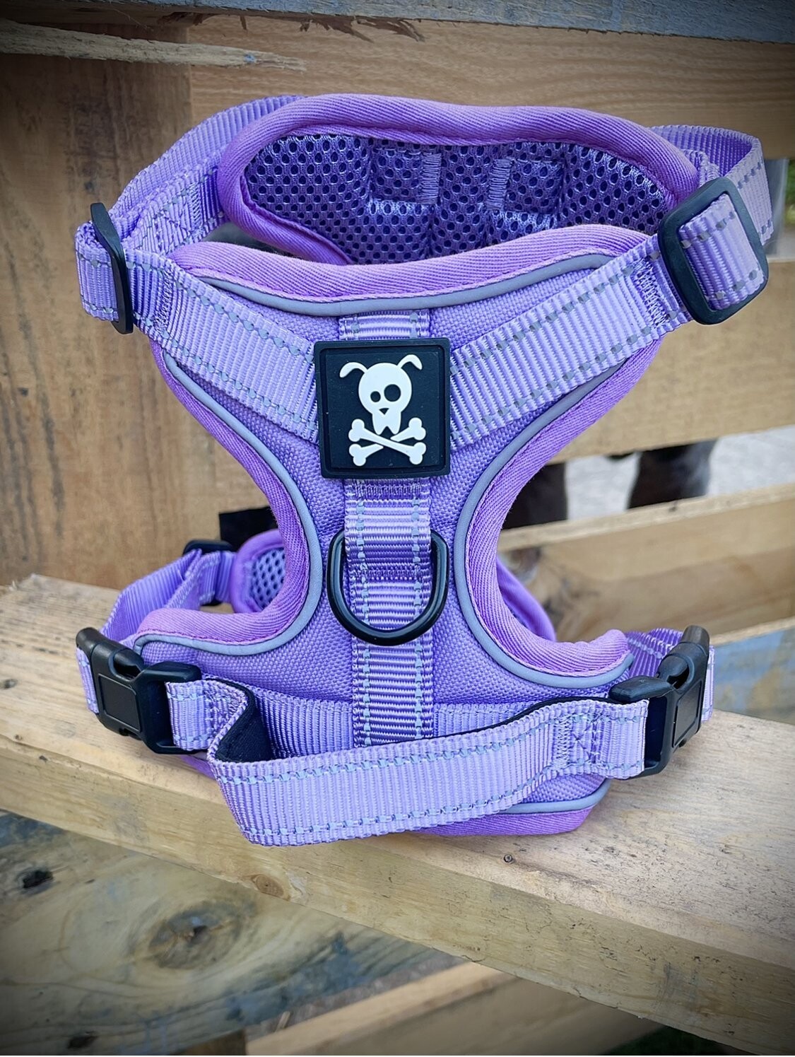 XL