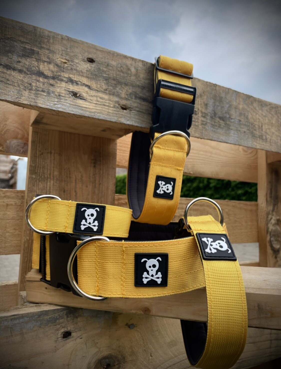 Halsband Sunshine Yellow maat XS