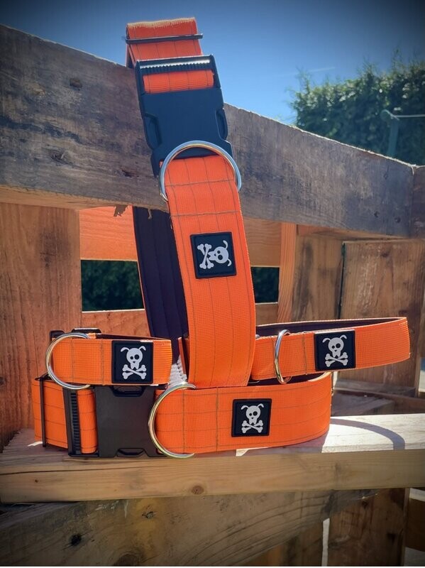 Halsband Neon Orange maat L