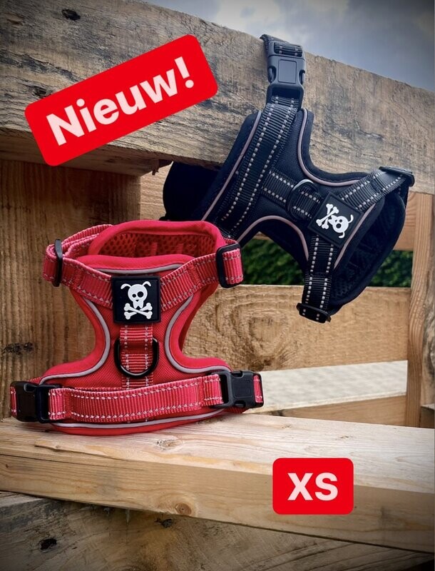 XS