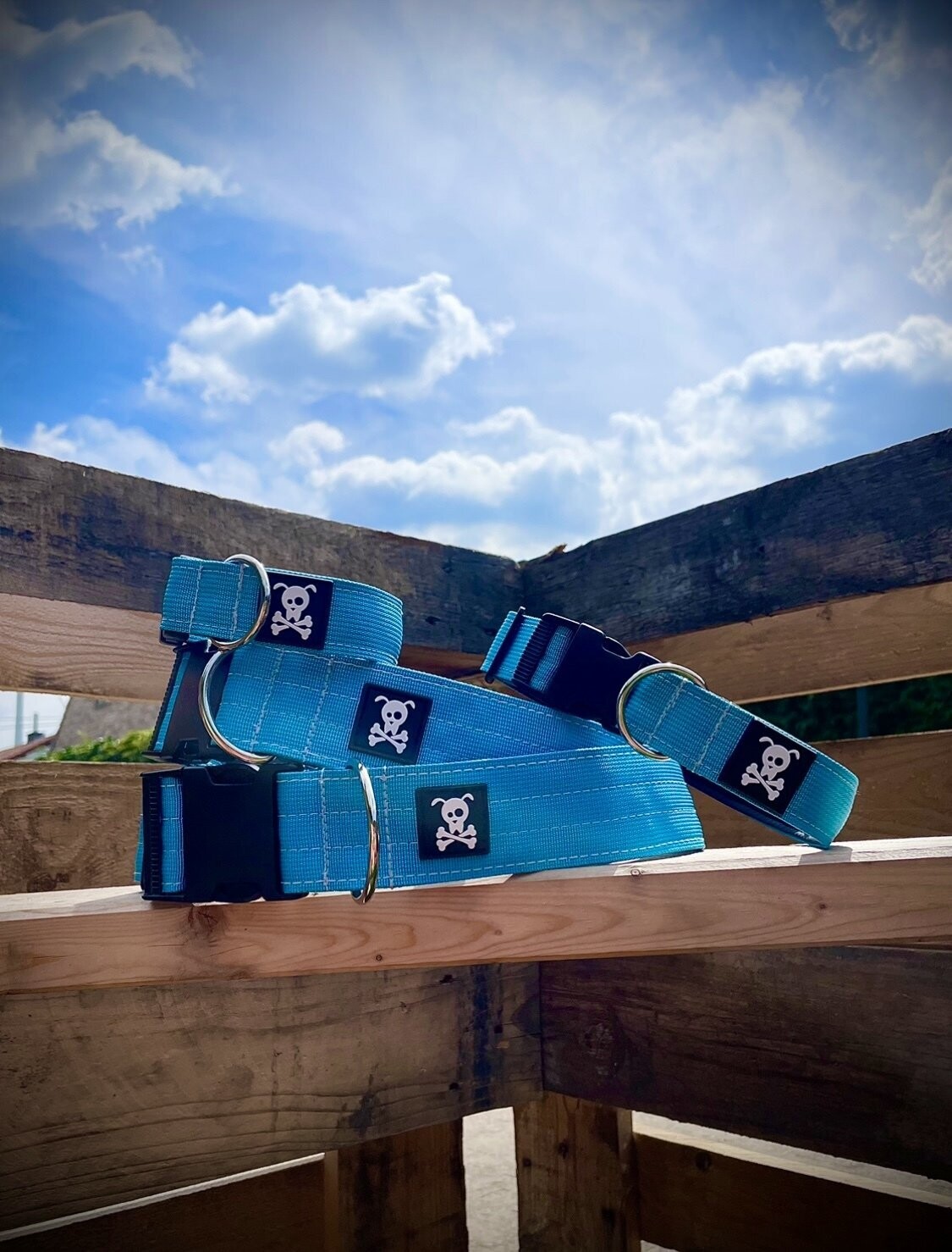 Halsband Ocean Blue  maat XXL (enkel op bestelling)