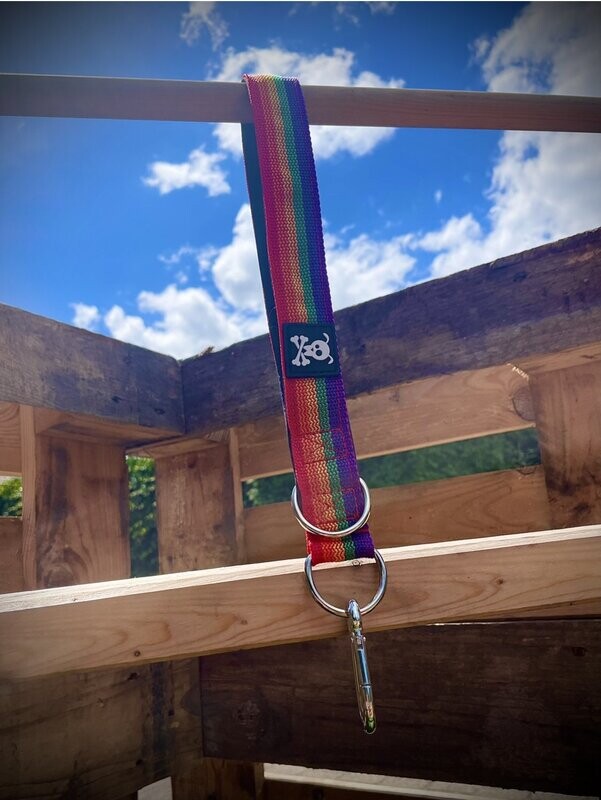 (Uitverkocht!) Special Edition LGBTQ (regenboog).Laatste stuks oud model.