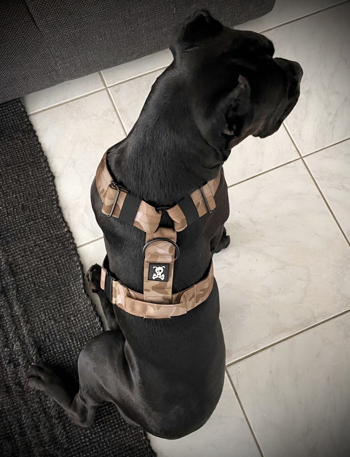 (Uitverkocht) Harnas Tan Camo maat XL