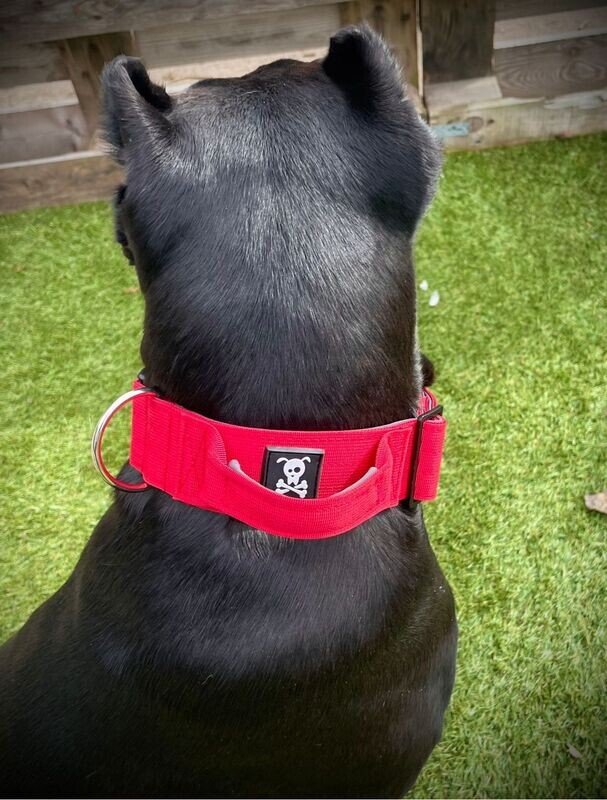 Halsband met handvat Red Velvet L