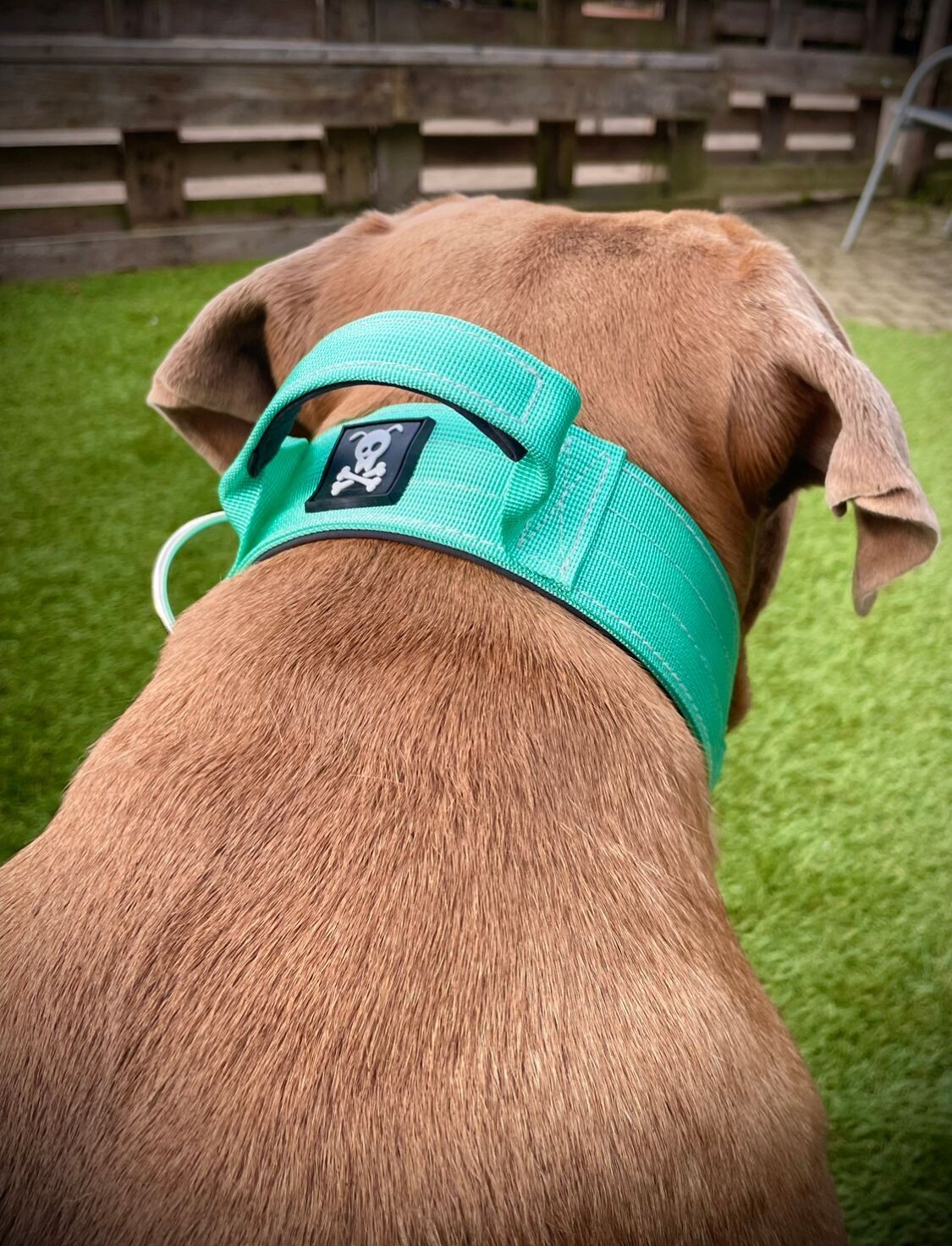 Halsband met handvat Minty Green L