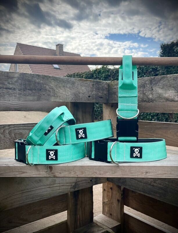 Halsband  Minty Green  XL
