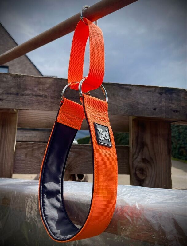 Sliphalsband Neon Orange M