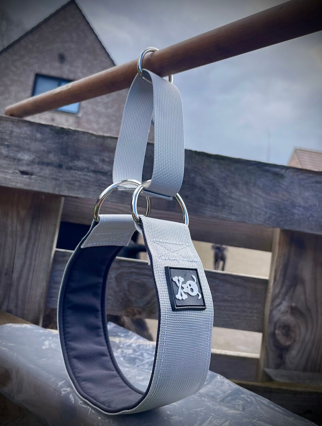 Sliphalsband Silver Star  S