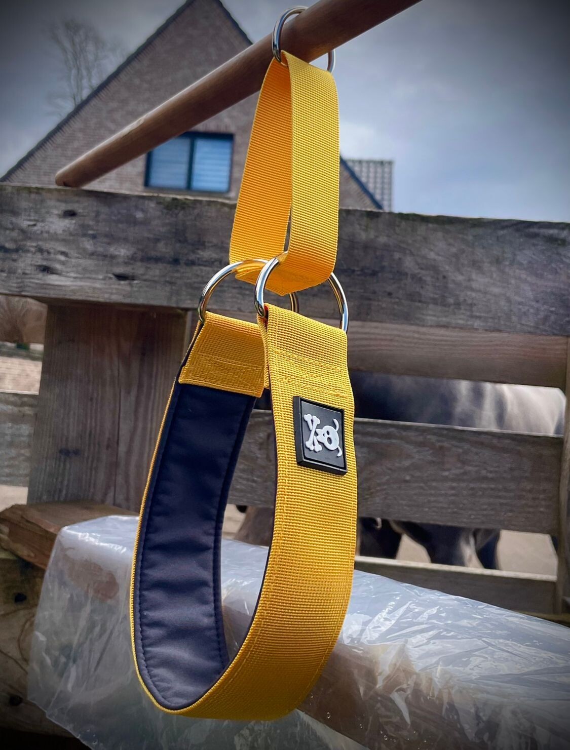 Sliphalsband Sunshine Yellow L