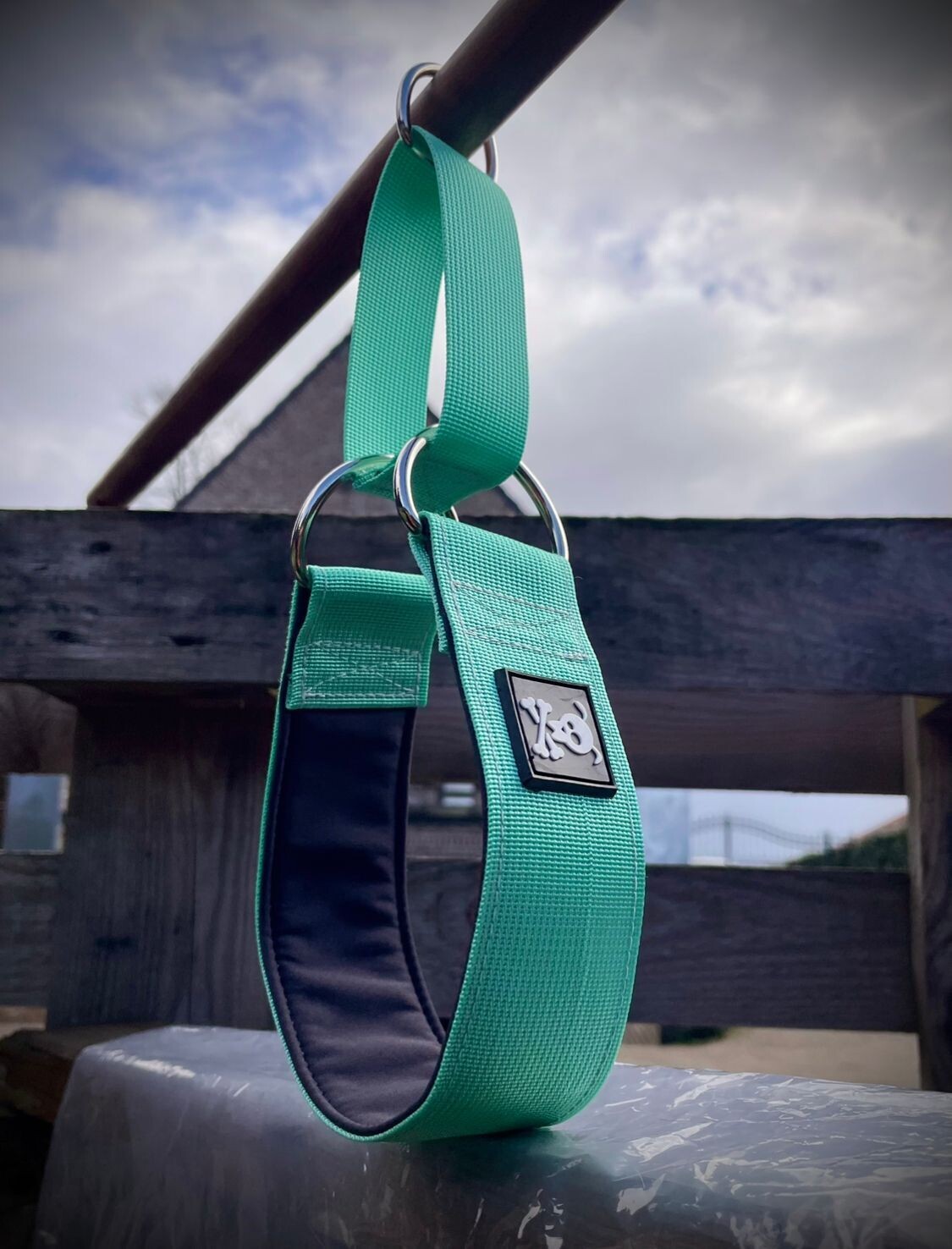 Sliphalsband Minty Green L